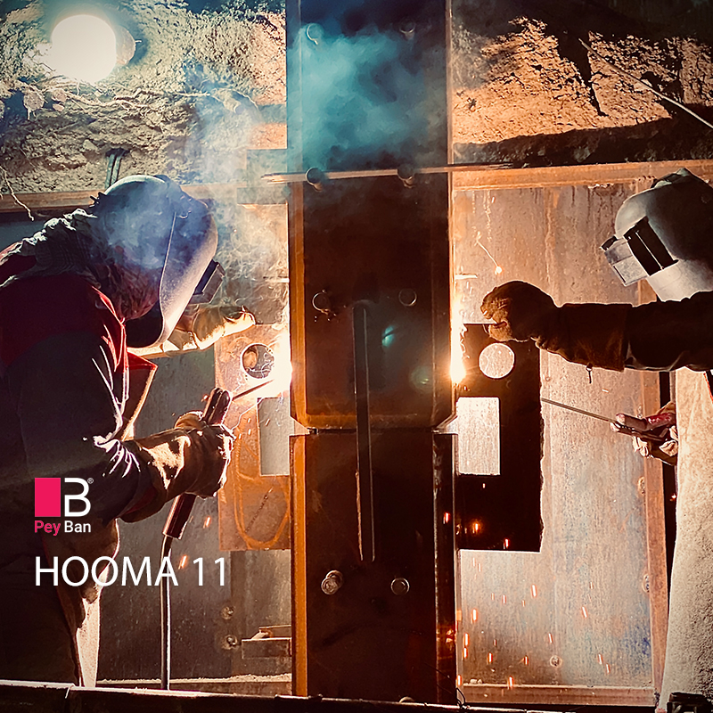 HOOMA-11